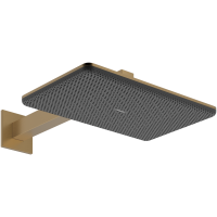 Верхний душ hansgrohe Raindance Alive Q 2jet с душевым кронштейном, 24550140, шлифованная бронза