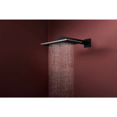 Верхний душ hansgrohe Raindance Alive Q 2jet с душевым кронштейном, 24550670, матовый черный