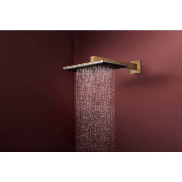 Верхний душ hansgrohe Raindance Alive Q 2jet с душевым кронштейном, 24550140, шлифованная бронза