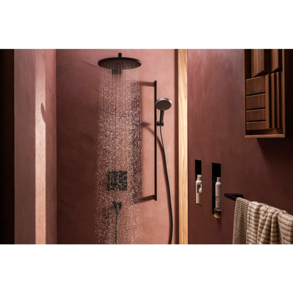 Ручной душ hansgrohe Raindance Alive Select S, 24500340, шлифованный черный хром