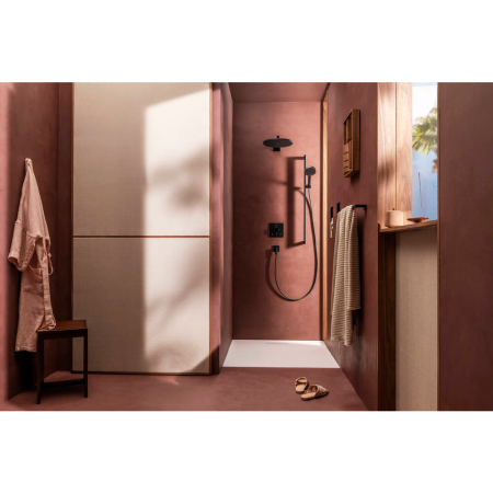 Ручной душ hansgrohe Raindance Alive Select S, 24500340, шлифованный черный хром