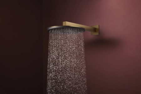 Тропический душ Hansgrohe Raindance Alive S 300 2jet 24540140 шлифованная бронза