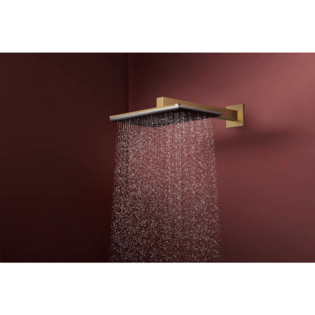 Верхний душ hansgrohe Raindance Alive Q 2jet с душевым кронштейном, 24550140, шлифованная бронза