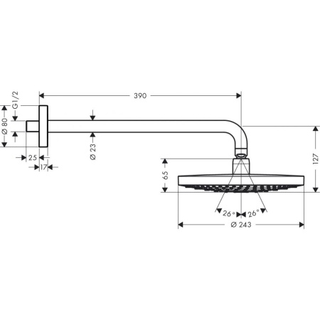 Верхний душ hansgrohe Raindance Select S 240 2jet с держателем 390 мм. 26466000, хром