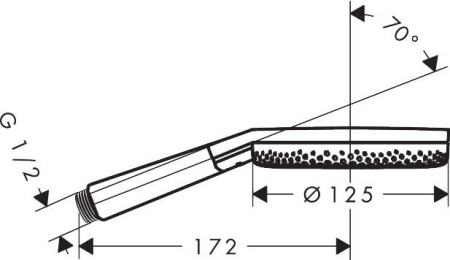 Душевая лейка Hansgrohe Raindance Select S 24500990 полированное золото